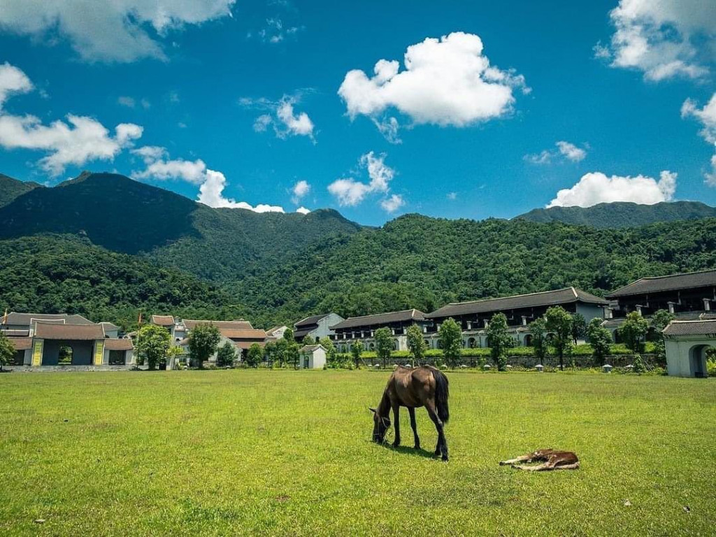 Sáng sớm ở làng Nương. Ảnh: yentuvillage