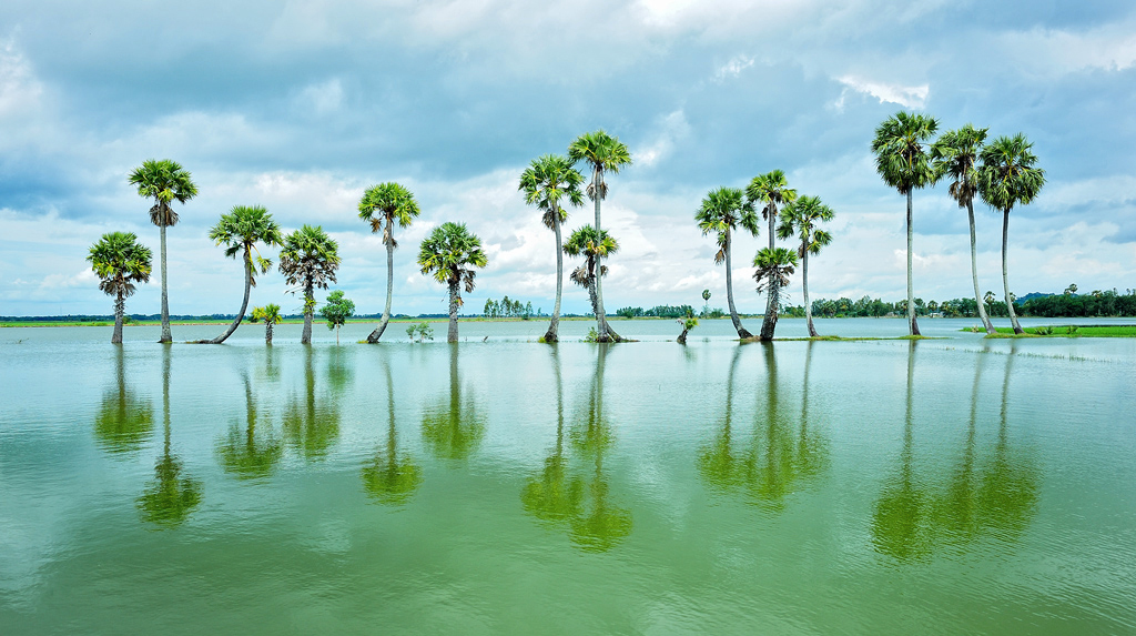 dia chi bung binh thien o dau