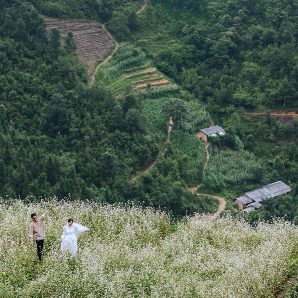 Ảnh: Nguyễn Lê Ánh Tuyết - Nguyễn Vinh