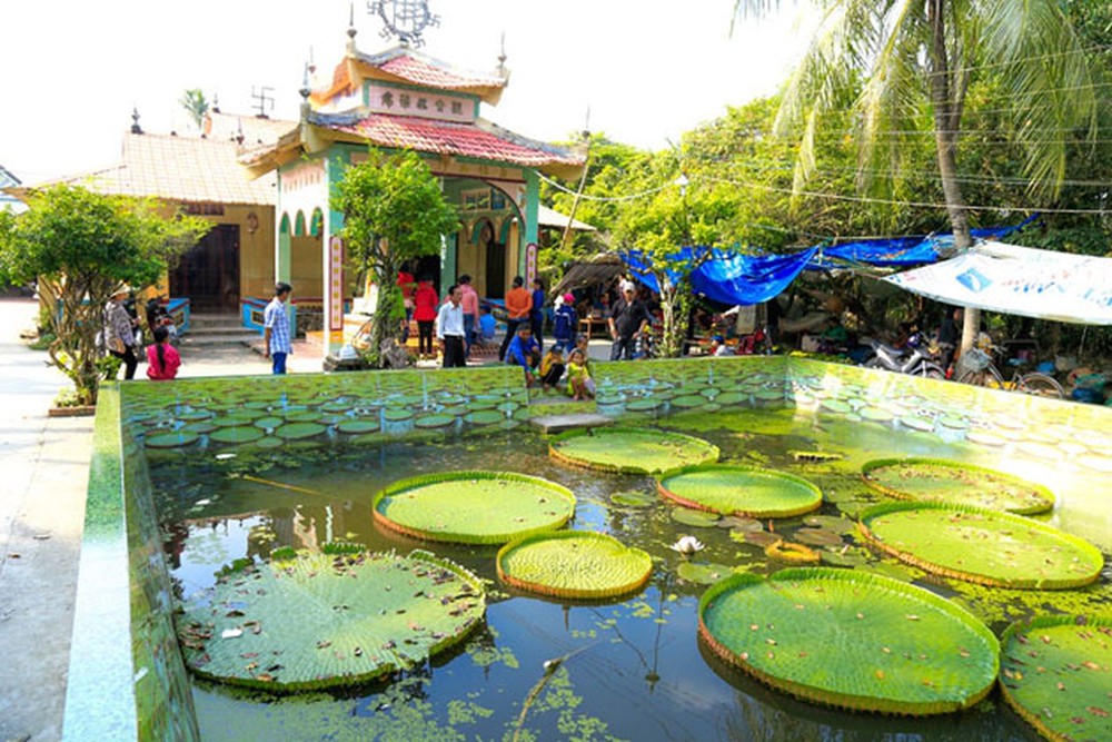 nhung ngoi chua noi tieng o dong thap