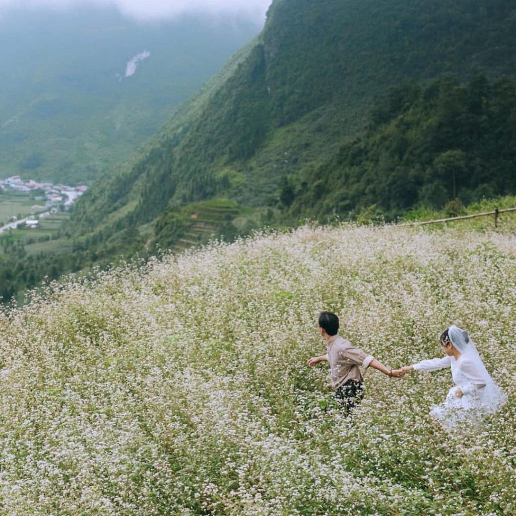 Ảnh: Nguyễn Lê Ánh Tuyết - Nguyễn Vinh