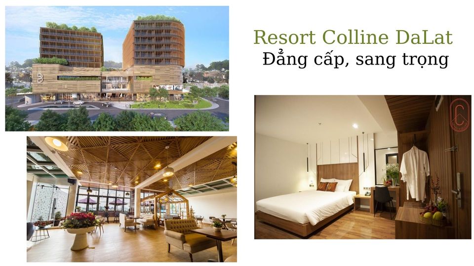 36 Resort Đà Lạt giá rẻ đẹp từ 2-3-4-5 sao ở trung tâm, chợ đêm, tuyền lâm