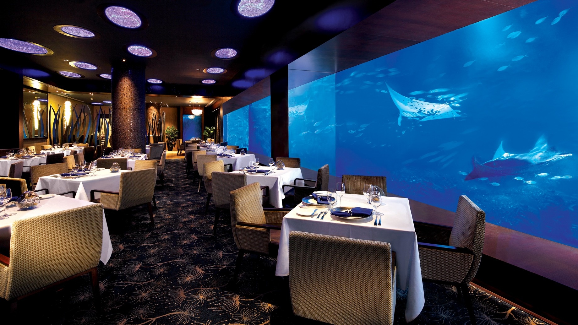 Ảnh: Ocean Restaurant.